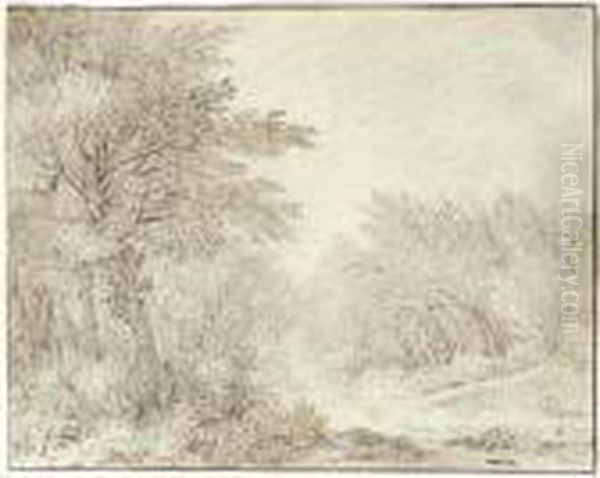 Wooded Landscape With A Path - view 1