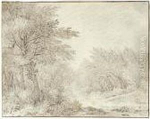 Wooded Landscape With A Path by Guillam de Vos