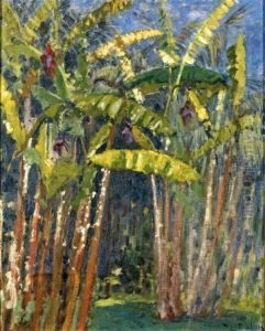 Les Bananiers Du Jardin D'essai