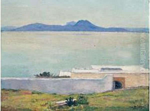 Sidi-bou-said - view 1