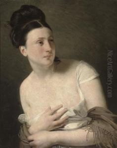 Portrait Of A Lady by Claude-Marie Dubufe