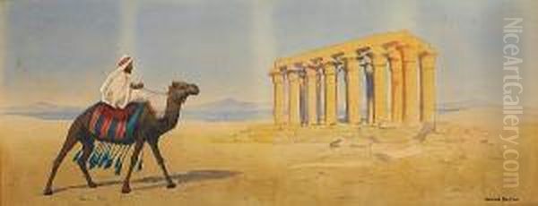 Camel Rider In The Desert - view 1