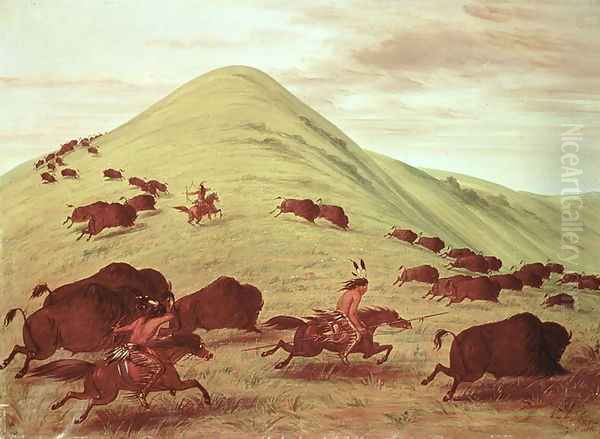 Sioux Indians hunting buffalo, 1835 - view 1