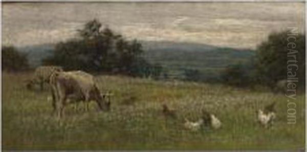 Highland Cattle - view 1