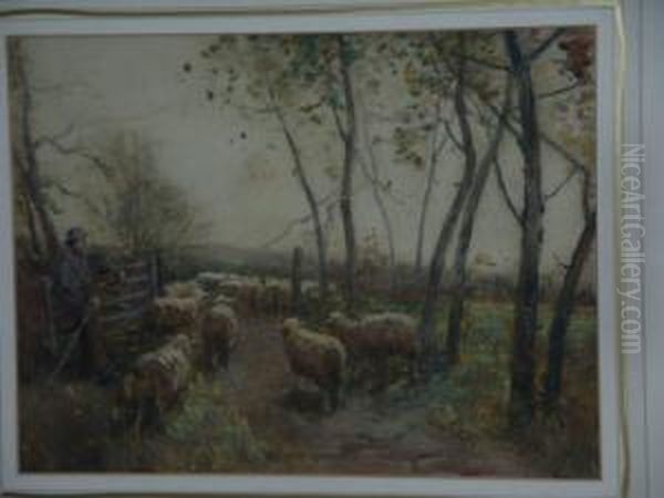 Moving Sheep - view 1