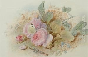 Pink Roses And A Butterfly