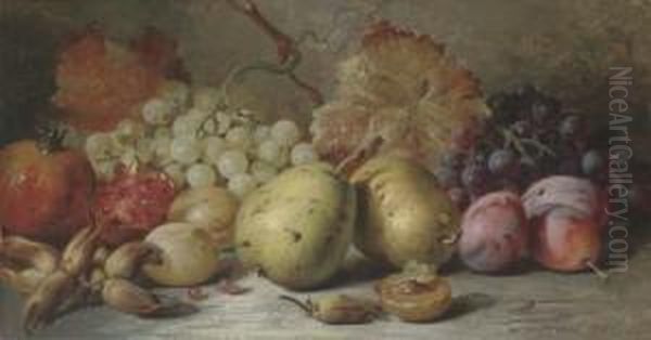 Pears, Plums, Grapes, Pomergranites And Hazelnuts - view 1