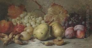 Pears, Plums, Grapes, Pomergranites And Hazelnuts