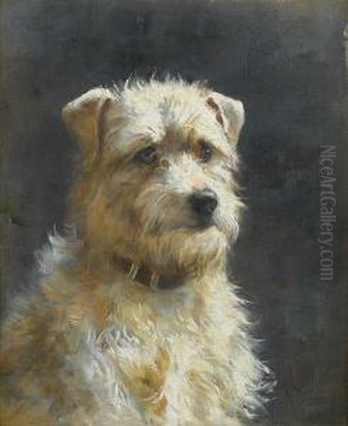 A Terrier - view 1
