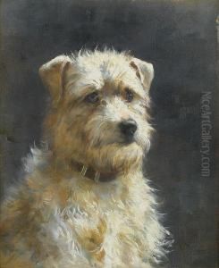 A Terrier