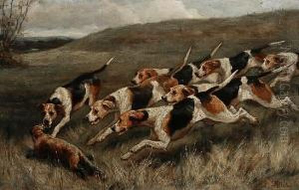 Hounds And Quarry Before The Kill - view 1