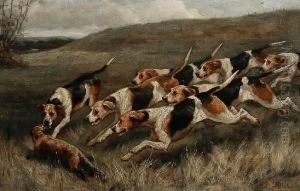 Hounds And Quarry Before The Kill by Alfred Duke