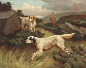 Setters On The Point by Alfred Duke