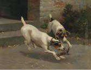 Terriers Ratting by Alfred Duke