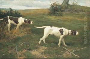 English Pointers On The Hunt