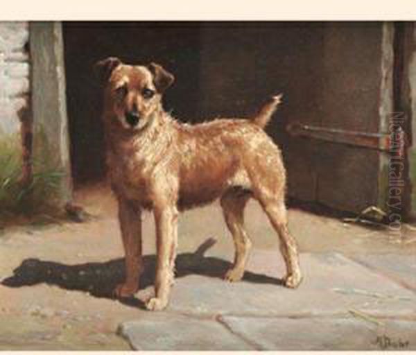 An Irish Terrier - view 1