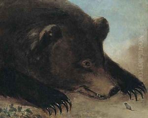 Portraits of Grizzly Bear and Mouse by George Catlin