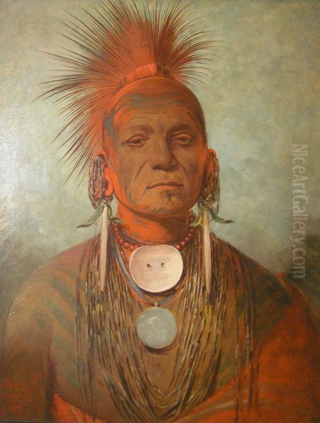 See-non-ty-a, an Iowa Medicine Man - view 1