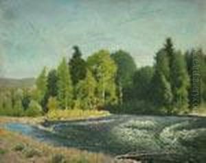''the Rushing River - Vermont''