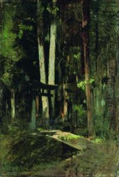 A Forest Shrine, Japan - view 1