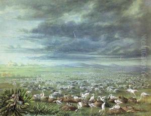 Ambush for flamingos in South America