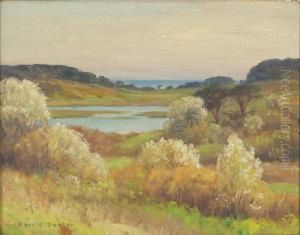 Meadows And The Sea In Spring, West Chatham by Harold C. Dunbar
