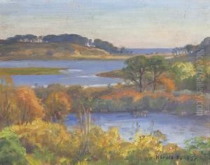Marsh And Cove, Westchatham, October Afternoon