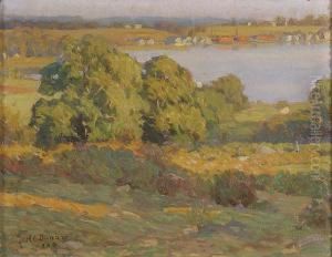 Cape Codlandscape