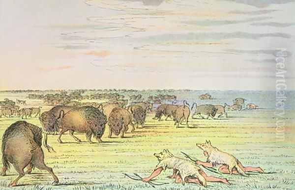 Stalking buffalo - view 1