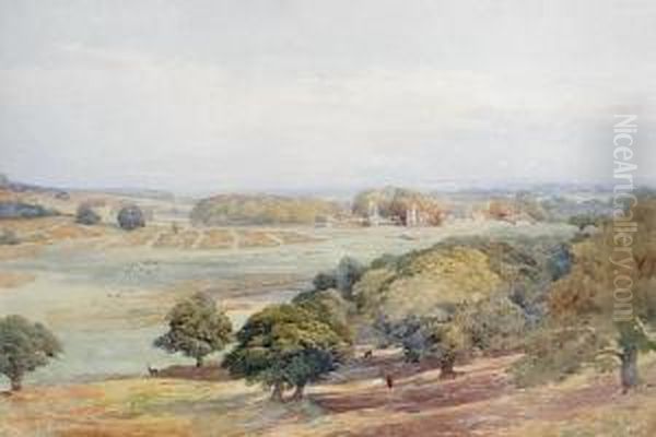 Bradgate Park, Leicestershire - view 1