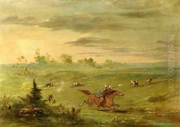 Ostrich Chase, Buenos Aires - view 1