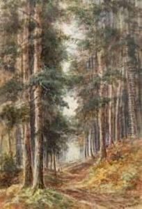 Figures On A Path In A Pine Forest