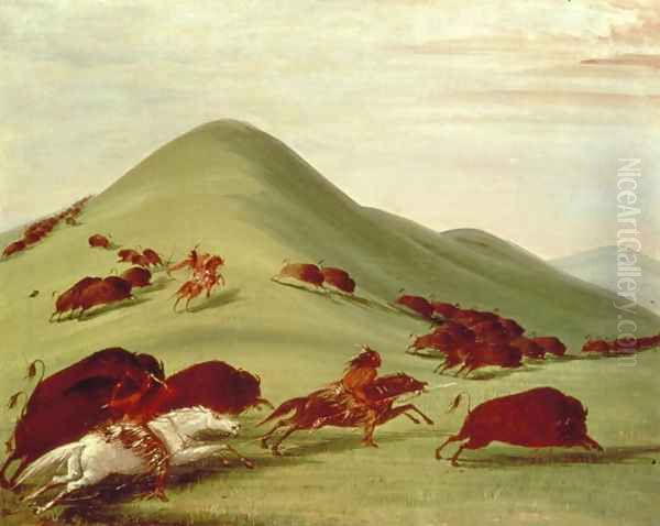 The Buffalo Hunt - view 1