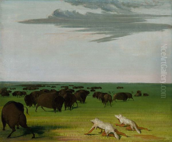 Buffalo Hunt under the Wolf-skin Mask by George Catlin