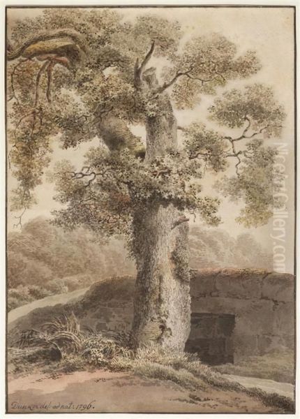 Old Tree At A Bridge - view 1