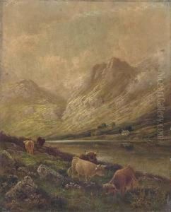 Highland Cattle, Perthshire; And Highland Cattle By Loch Eck