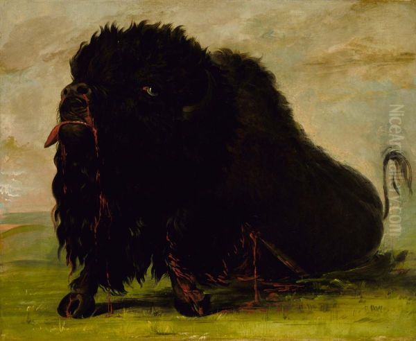 Dying Buffalo, Shot with an Arrow - view 1
