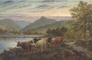 Cattle On The Waters Edge At Brodick, Arran