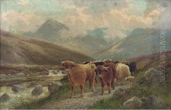 Highland Cattle By The Beauly River, Invernesshire; And Highlandcattle Near Dunkelt - view 1