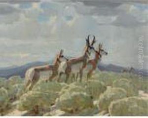On The Old Plains