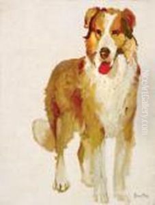 Study #36 [collie Dog]
