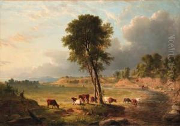 Brown - view 1