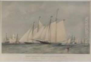 The Anglo-american Round The Isle Of Wight