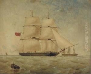 Sea Lark Running Inshore
