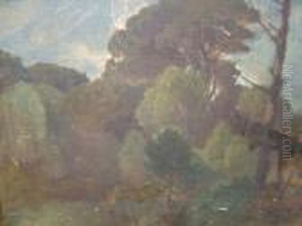 Wooded Landscape - view 1