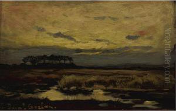 Marshlands At Sunset - view 1
