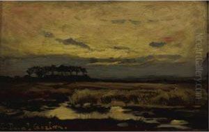 Marshlands At Sunset