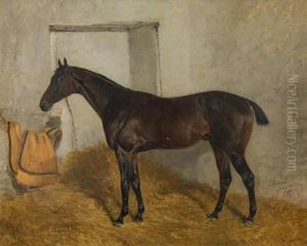 'casanet'; Study Of A Horse In A Stable - view 1