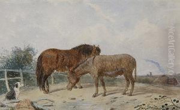 Pony, Donkey And Gypsy Camp - view 1