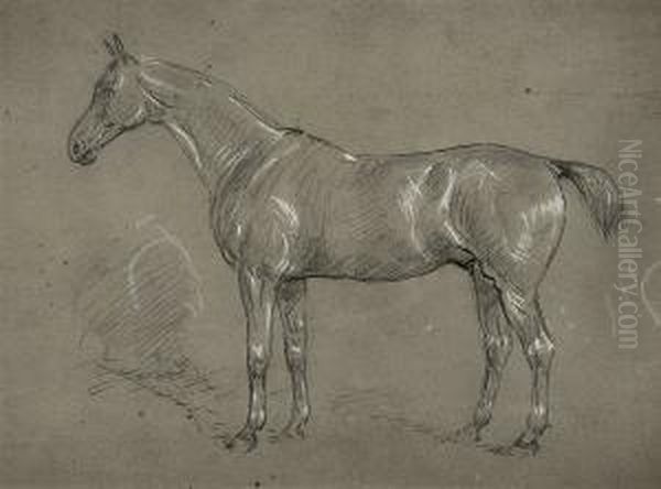 Study Of A Horse - view 1